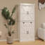 Corneil Accent Cabinet