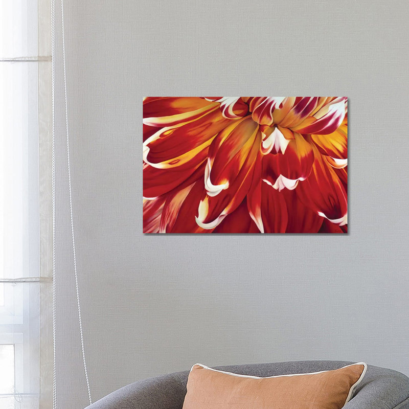 Redony 1 Piece Wrapped Canvas Painting, 66.04 cm H x 45.72 cm W x 3.175 cm D