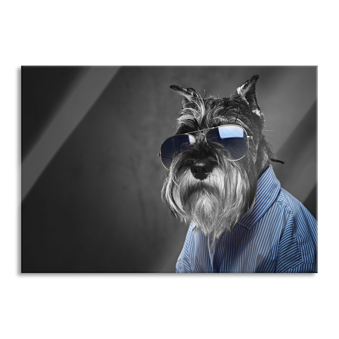 Glasbild Lustiger Hund mit Hemd und Sonnenbrille