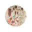 Chihuly Oyster Stucco Area Rug-1822873663