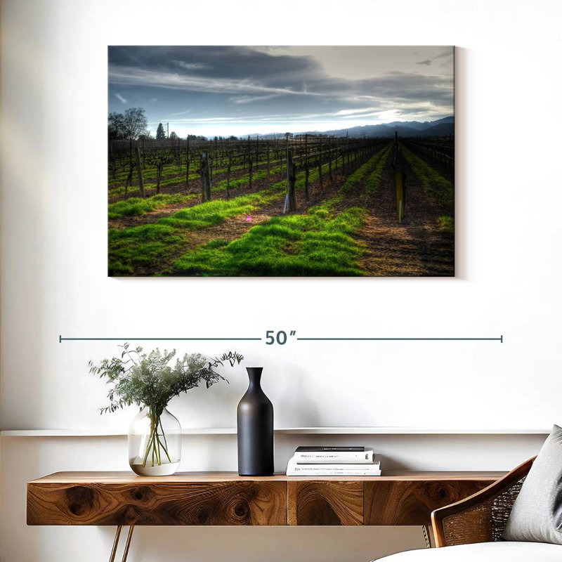 Alvord Napa Vineyard en janvier, H 26 po x l 39 po