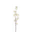 Cherry Blossom Arrangement-268176596-268176599