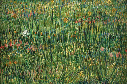 "patch of grass" par vincent van gogh-impression, H 28 po x l 42 po x P 1,5 po