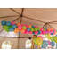 Système de relâchement de ballons PMU - Drop Ez And Dn Professional