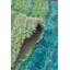 Aquille 3D Shaggy Lena Teal 160/230