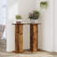 Haig Plant Stand - Set of 2-2027179087-2027179078