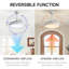 Ceiling Fan with LED Lights-589760726