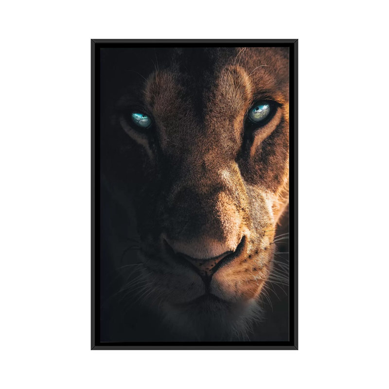 The Mysterious Creature by Zenja Gammer - Print on Canvas, 66.04 cm H x 45.72 cm W, Black Framed