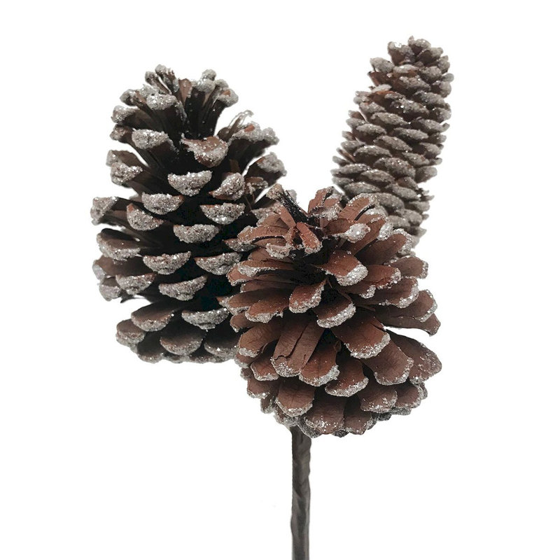 Grappe de pomme de pin givrée