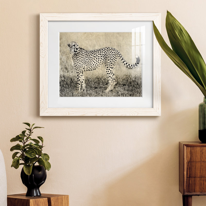 " Camouflage ", White Framed, 20" H x 17" W x 1.5" D
