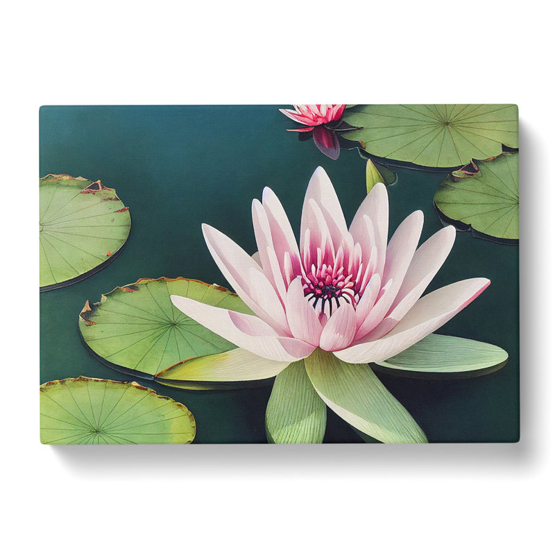 Angelical Water Lily Flowers - Wrapped Canvas Print, 35cm H x 50cm W x 3cm D