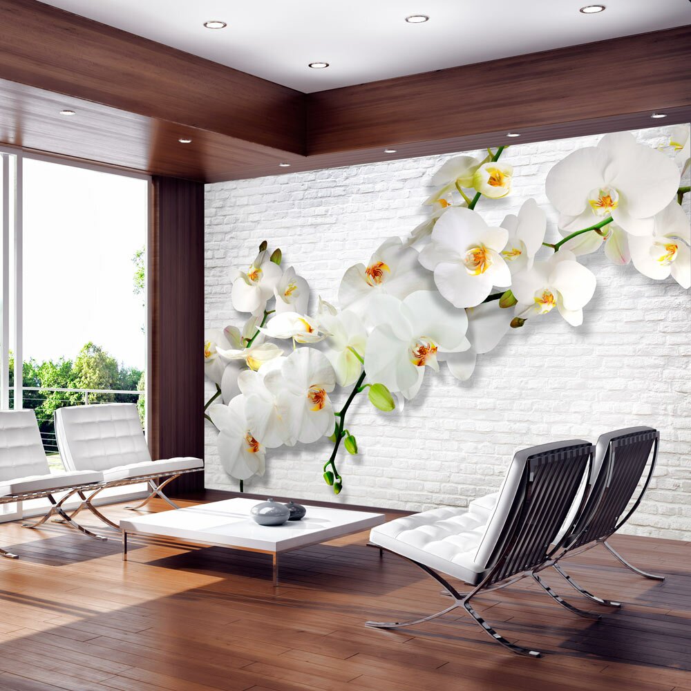 Fototapete Orchideen an der Wand