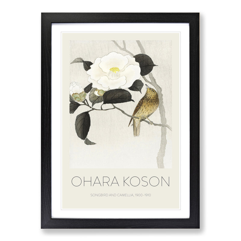 Songbird & Flowering Camellia - Framed Print, Black, 65cm H x 48cm W x 2cm D