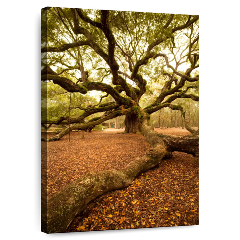 Harnek Charleston Ancient Oak Tree, 12" H x 8" W