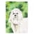 Bichon maltais blanc cassé
