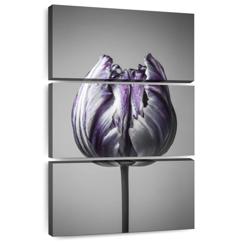 Harnek Baroque I, 32" H x 20" W