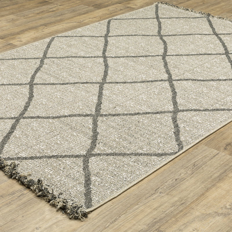 Tapis à franges intérieur / extérieur Rayfe, Rectangle 5 pi 3 po x 7 pi 3 po