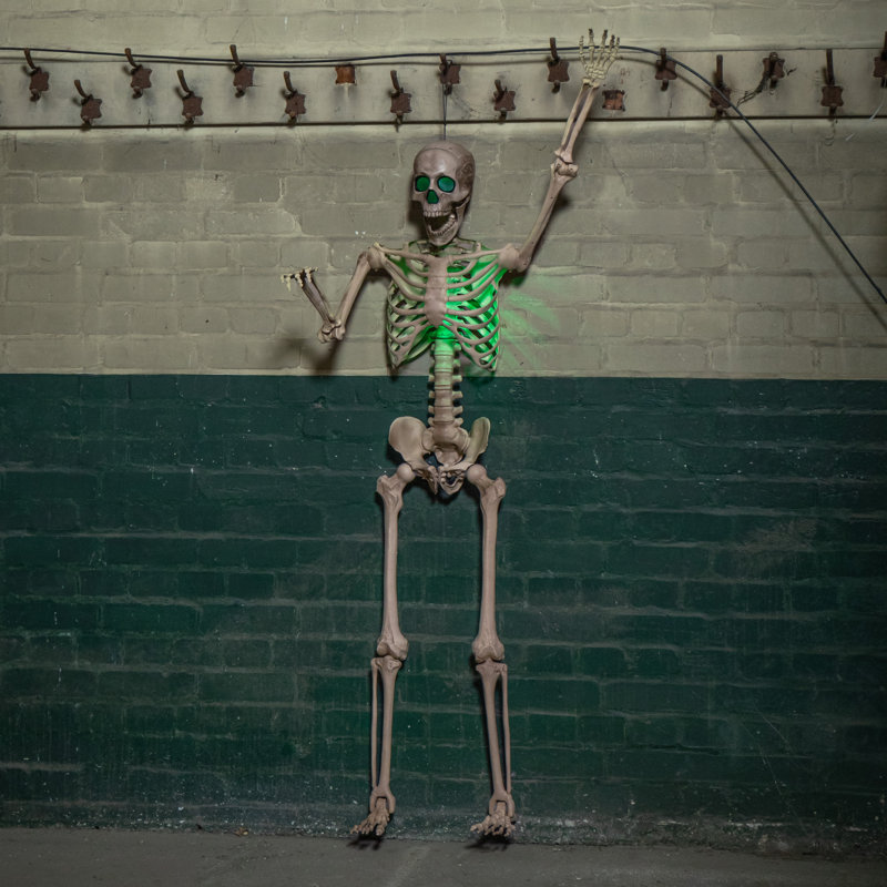 Anjelicia Halloween