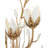 Star Magnolia Wall Sconce