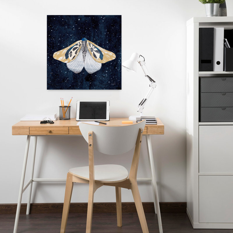 Art mural contemporain Elegant Moth II, H 18" x l 18"