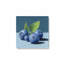 «Beautiful Blueberries» par Kate Jarvik Birch, reproduction d'art sur toile-1664951001