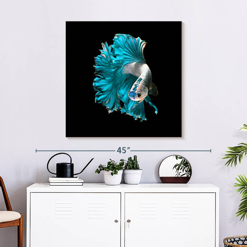 Brampt Plush Fighter Fish, 30" H x 30" W