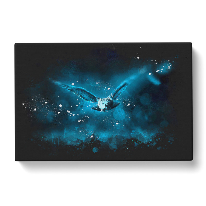 Owl In Flight - Wrapped Canvas, 35cm H x 50cm W x 3cm D