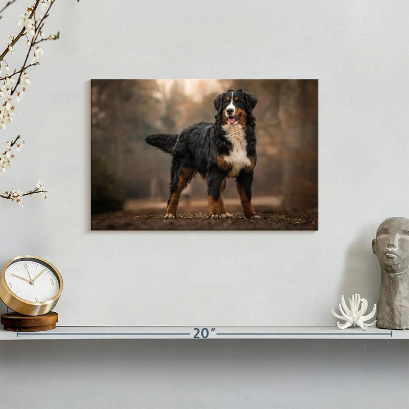 Brampt Bernese Mountain Dog, 8" H x 12" W