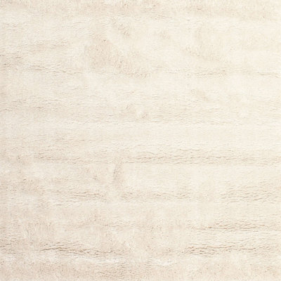 Indoor Rug