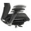 Dinwiddie Mesh Office Chair
