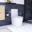 Toilette allongée brute à double chasse 1,1 / 1,6 GPF avec siège blanc incluse