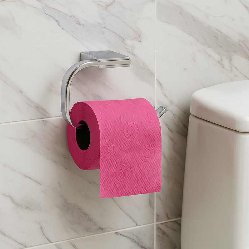 Porte-papier hygiénique mural 1 rouleau en acier inoxydable