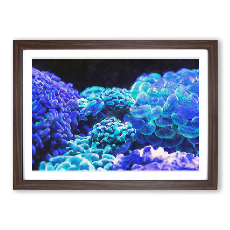 Neon Coral - Picture Frame Graphic Art Print, Walnut Framed, 24cm H x 33cm W x 2cm D
