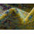 Abstract Indoor Rug-40278841