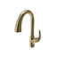 Pagano 2.0 Pull-Down Kitchen Faucet-1345294258