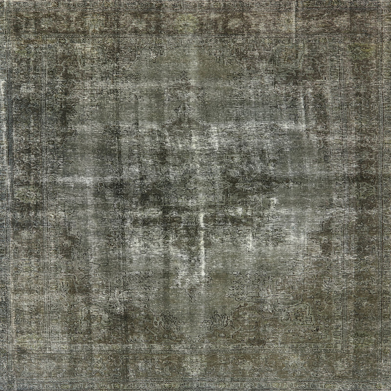 Meinard Oriental Indoor Rug, Square 8'