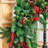 120" Cedar Garland