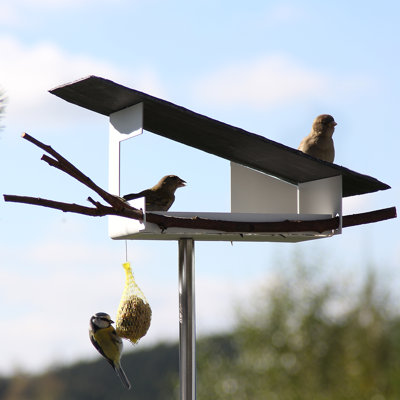 Metal Tray Bird Feeder