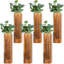 Ensemble de 6 jardinières murales en bois pour plantes d'intérieur Vase suspendu en bois Décoration murale de ferme pour chambre à coucher et salon-136920090
