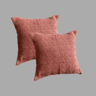  Polyester Throw Square Indoor Pillow Cover (Set of 2)