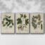 Knorr Shells & Coral VI, ensemble de 3 toiles encadrées sur toile-97792224-97792220