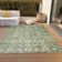 Machine Washable Indoor/Outdoor Xhevrie Aloe Rug