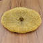 Assiette plate 11 po Warrensburg Coral-37468344