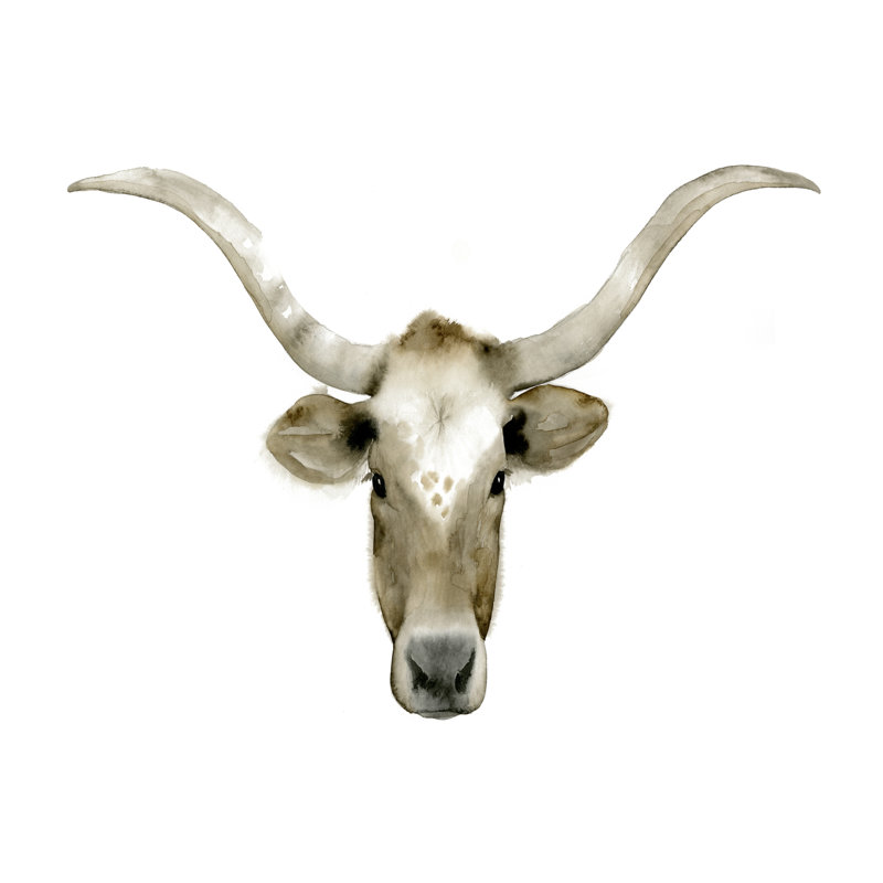 Longhorn Steer II by Grace Popp - Wrapped Canvas Art Prints, 30cm H x 46cm W