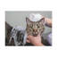 No Frame Print on Canvas-105965886