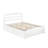 Elliana Solid Wood Slat Storage Bed-81970997-81970999