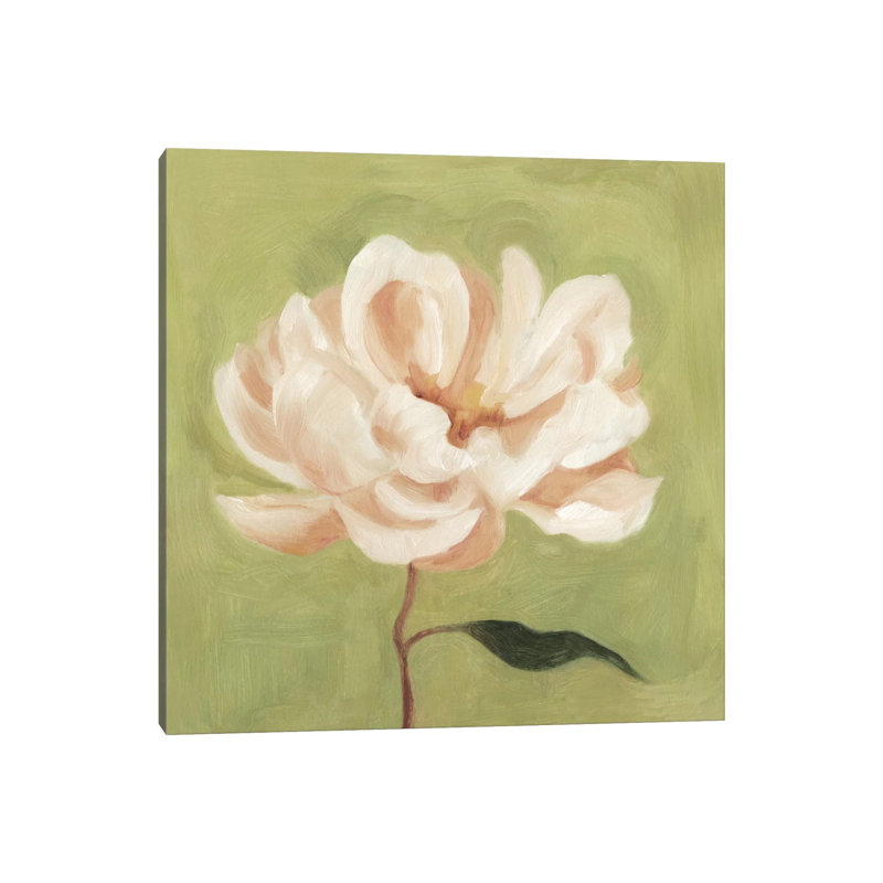 Peony On Olive II by Emma Scarvey - Wrapped Canvas Gallery-Wrapped Canvas Giclée, 30.48 cm H x 30.48 cm W