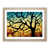 Oak Framed selected