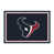 Houston Texans