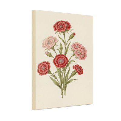 Motif floral de plantes et de fleurs avec œillets rouges et roses